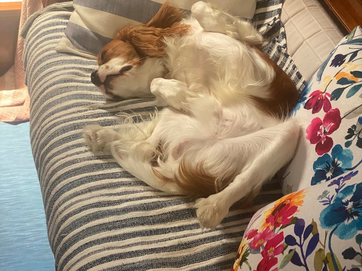 Back to Crete 2025: Summer&nbsp;Summary