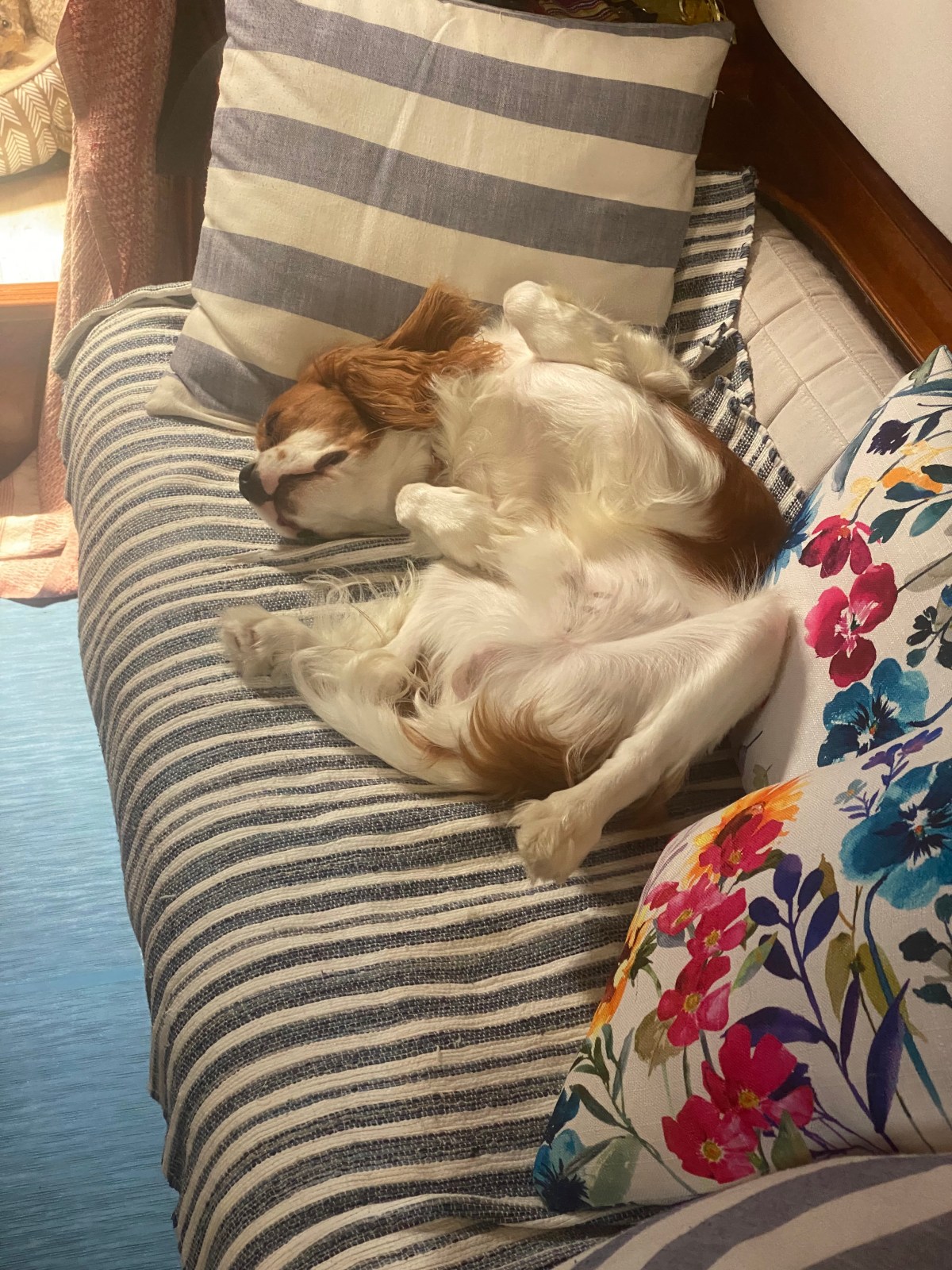 Back to Crete 2025: Summer&nbsp;Summary