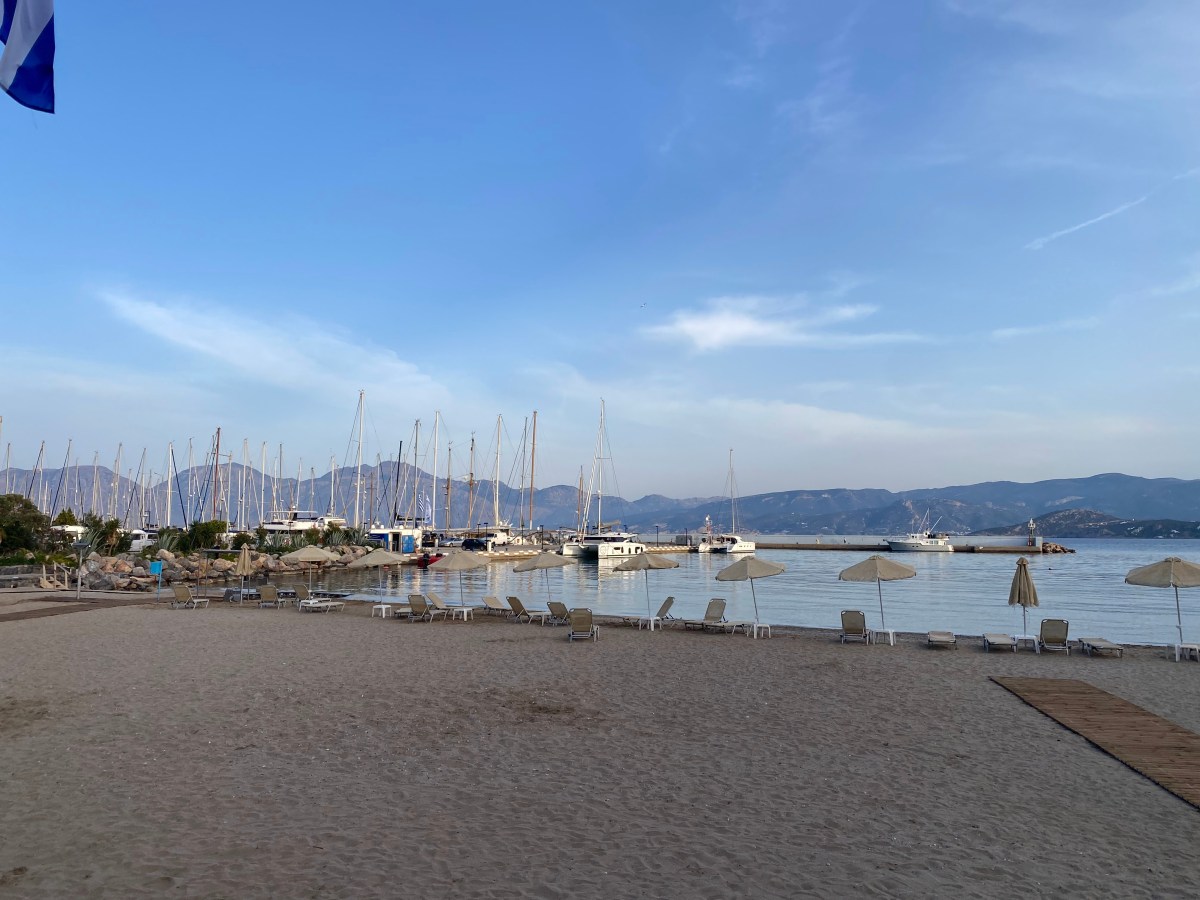 House update and a week on&nbsp;Spruzzo